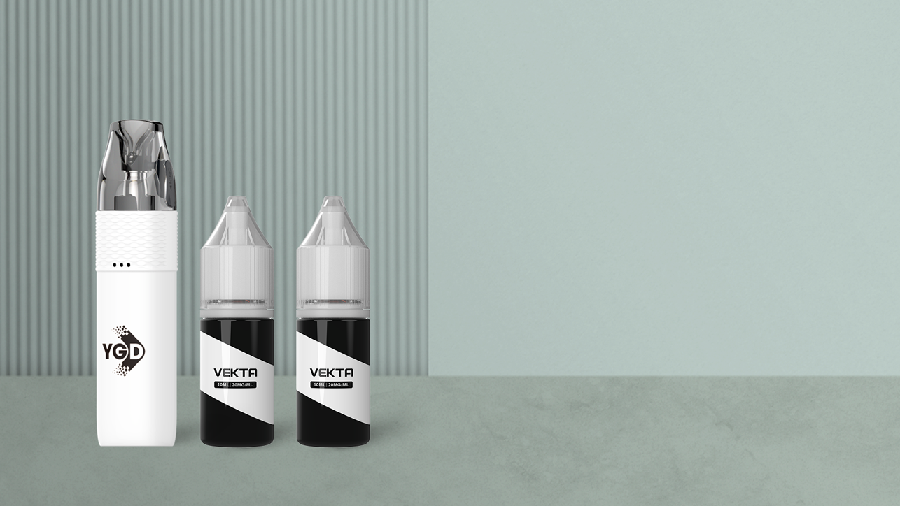 RD2-500 Vekta Vape
